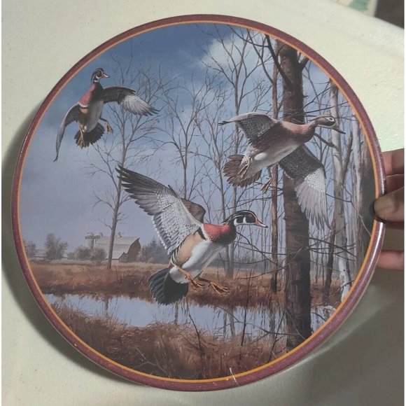 Vtg Dave Maass Duck 9.75" Round Tin Lake City Minnesota Wild Wings Artwork Rare - Picture 12 of 16